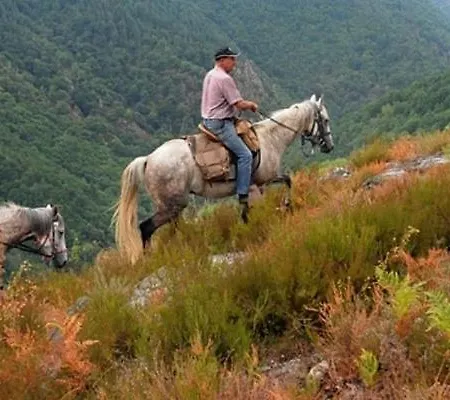 L'ancien Relais De Poste*** Saint-Dier-dʼAuvergne