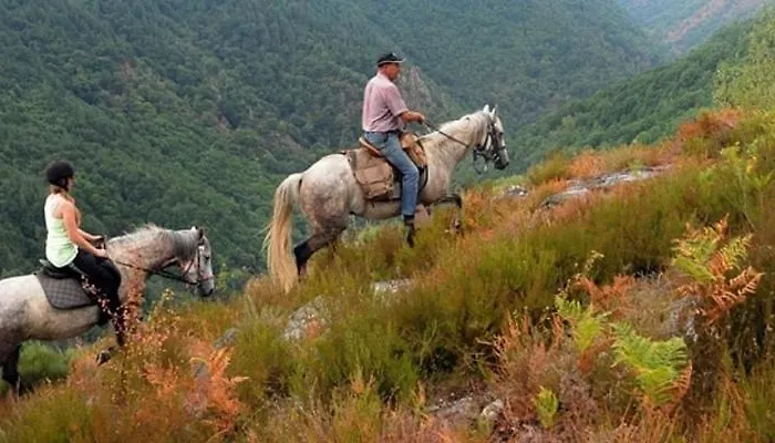 L'ancien Relais De Poste*** Saint-Dier-dʼAuvergne
