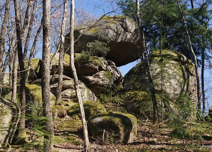 L'ancien Relais De Poste*** Saint-Dier-dʼAuvergne
